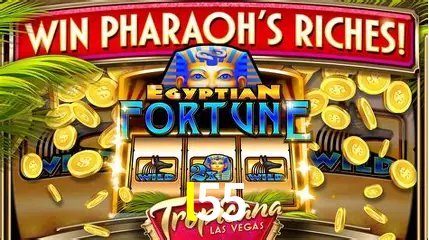 Descubra o Mundo do Cassino Online com l55